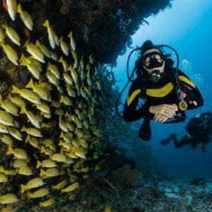 Scuba Diving Amed